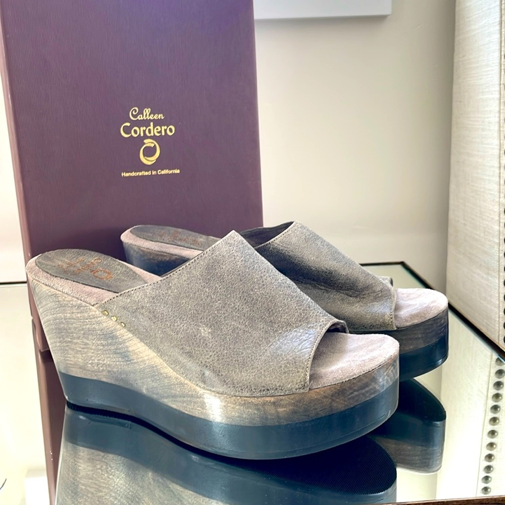 Colleen Cordero Luna platform slides 9.5